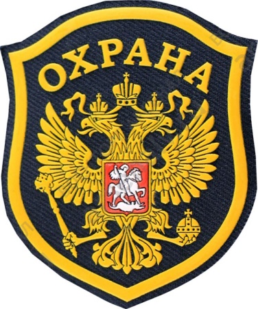 Шеврон с орлом на рукав, цветной, арт. 17275 — изображение товара РусПак